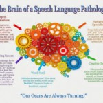 The Brain of an Speech Language Pathologist